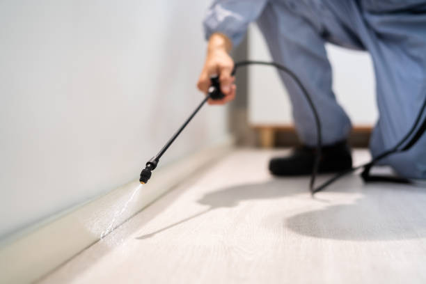 Licensed Mosquito Control service in Old Town, ME - Show Me Pest Control