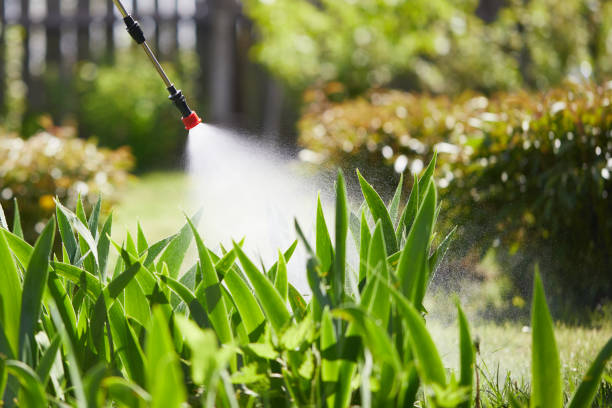 24/7 Emergency Mosquito Control experts in Old Town, ME