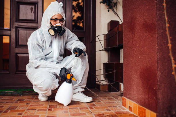 Reliable Mosquito Control contractor in Old Town, ME by Show Me Pest Control
