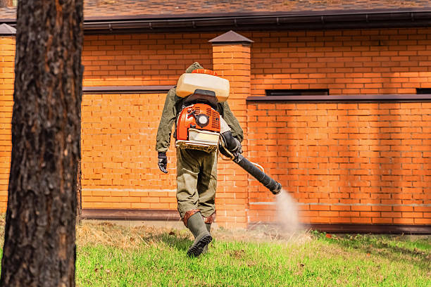 Top rated local Mosquito Control specialists in Old Town, ME